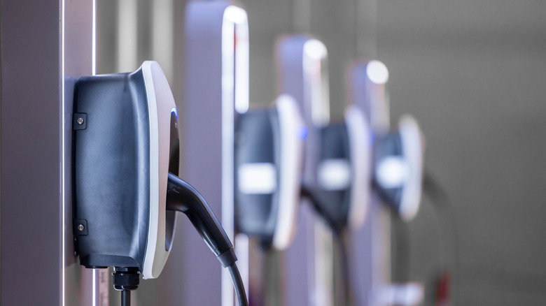 A row of EV charging ports