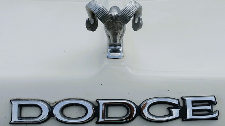 A close-up of a vintage car Dodge badge and emblem on the front of a car.