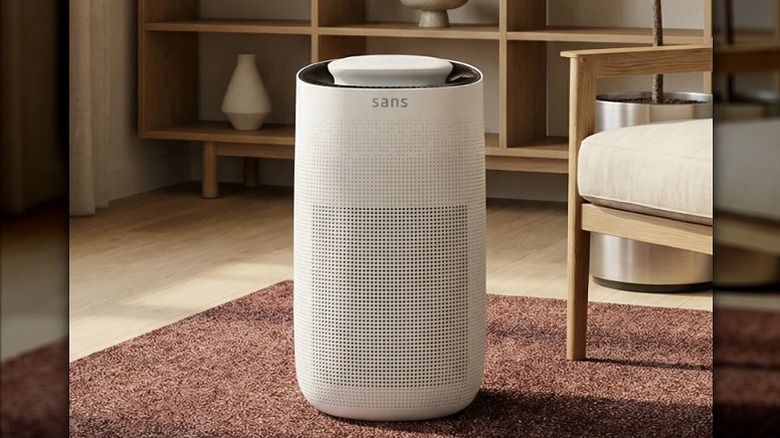 Sans air purifier on a mat in a living room.