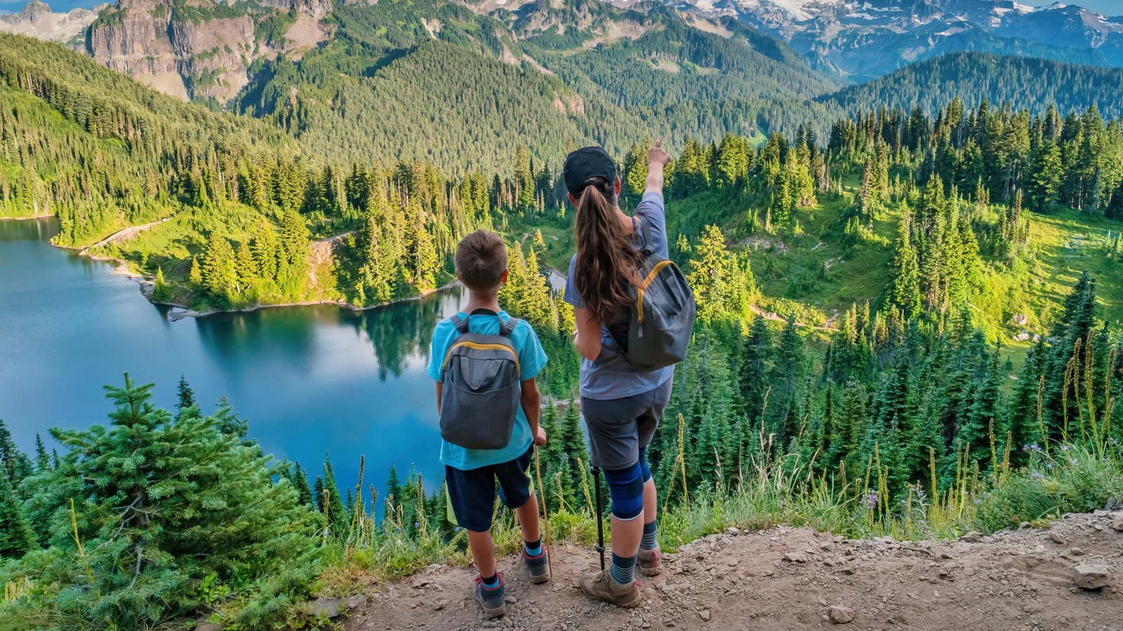 5 useful apps to use when visiting national parks