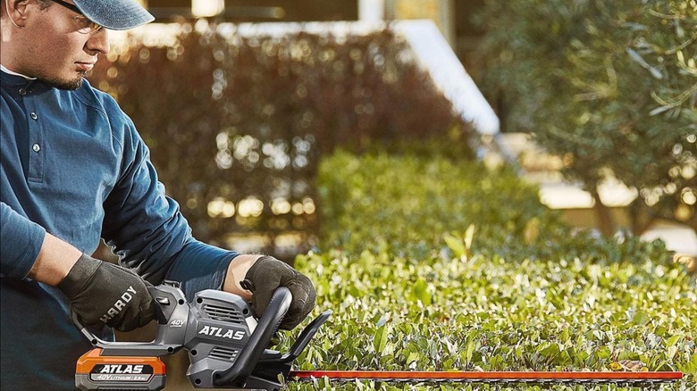 Product image of Atlas Hedge Trimmer