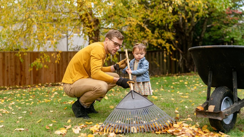 Father showing daughter how to use a rake