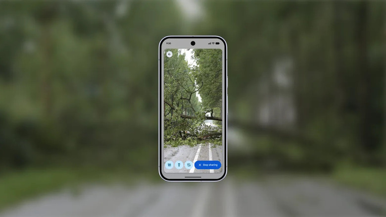 Phone taking a video of a fallen tree with Android Emergency Live video