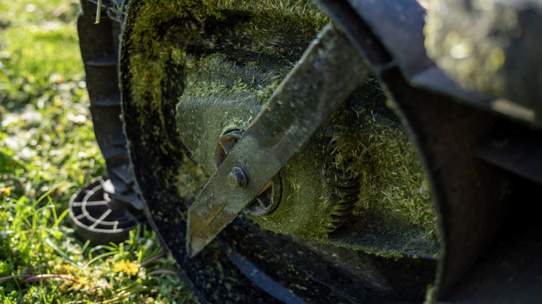 A lawn mower deck covered in grass clippings.