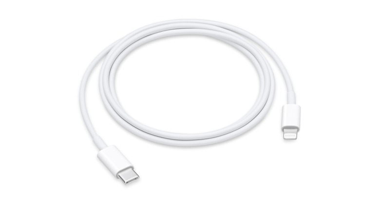 Apple USB-C to Lightning adapter cable on displaly