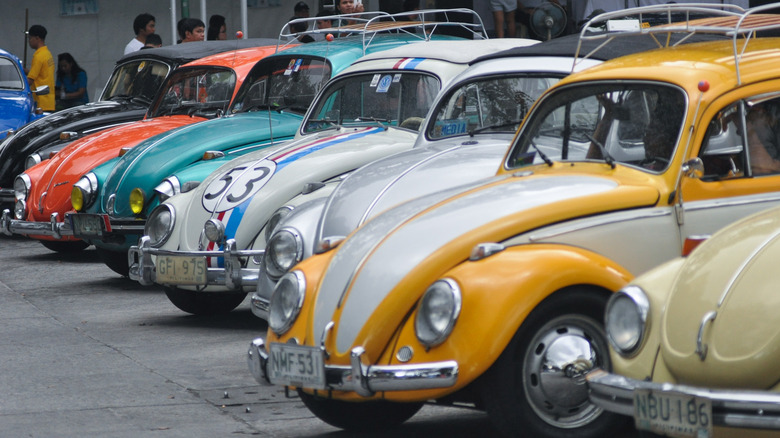 Volkswagen Beetles