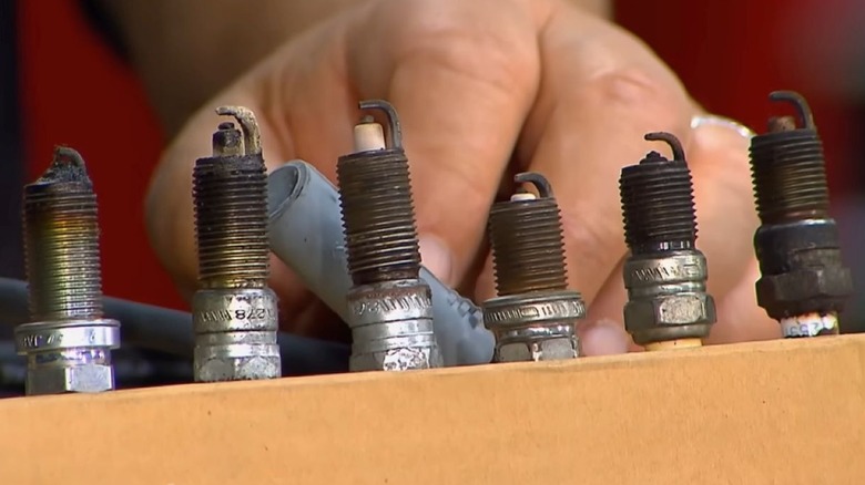 A line of different spark plugs mounted in a box to show different signs of wear