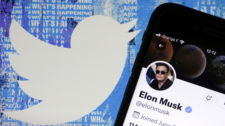 Elon Musk's Twitter profile