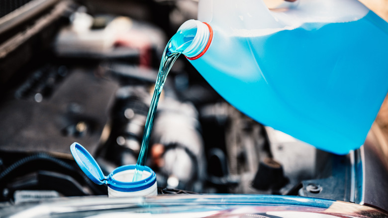 Person filling windshield washer tank