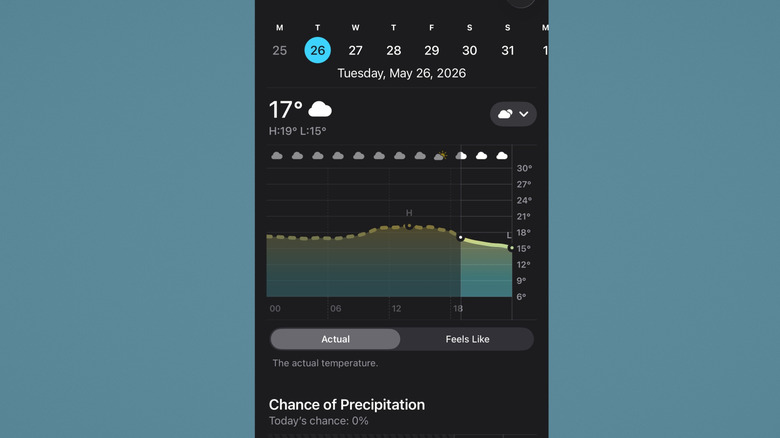 Detailed forecast information in the iPhone Weather app overview.