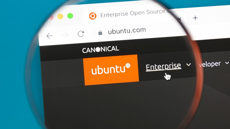 Ubuntu website magnifying glass