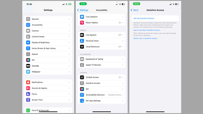 Assistive Access option in iPhone Settings app