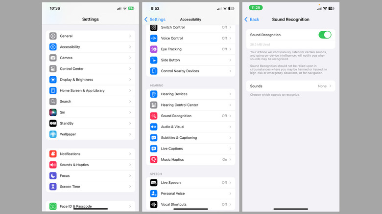 Sound Recognition option in iPhone Settings app