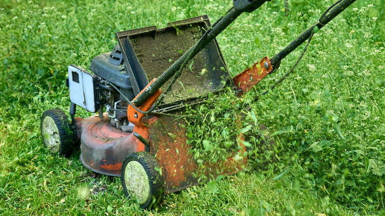 Lawn mower covered in grass