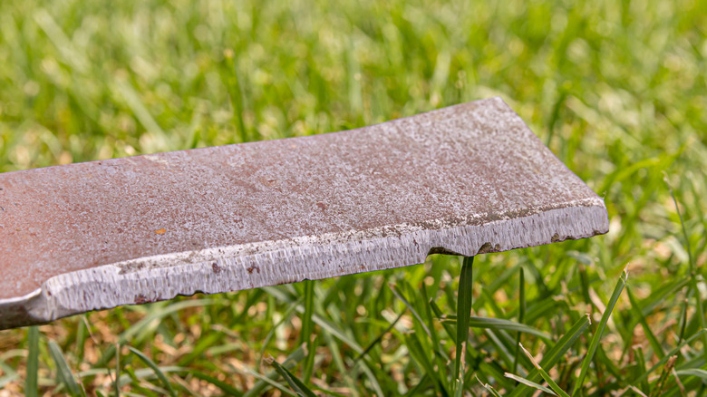 Rusty lawn mower blade close-up