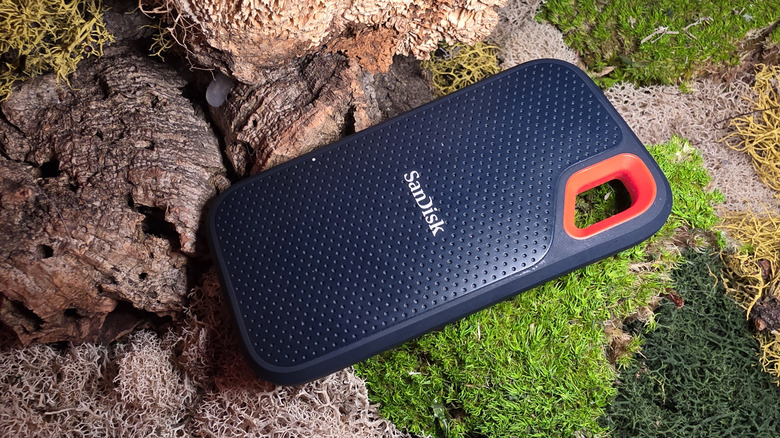 OIder model SanDisk Extreme Pro SSD on a mossy background