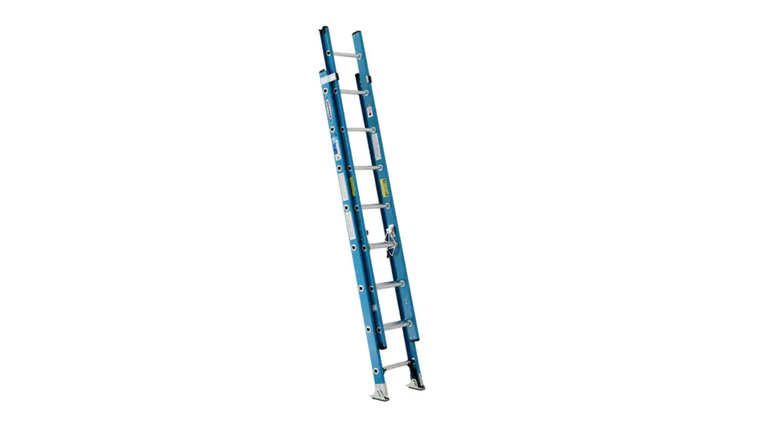 Werner ladder pictured against a white background