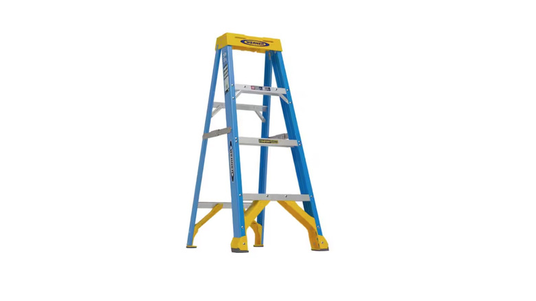 Werner ladder pictured against a white background