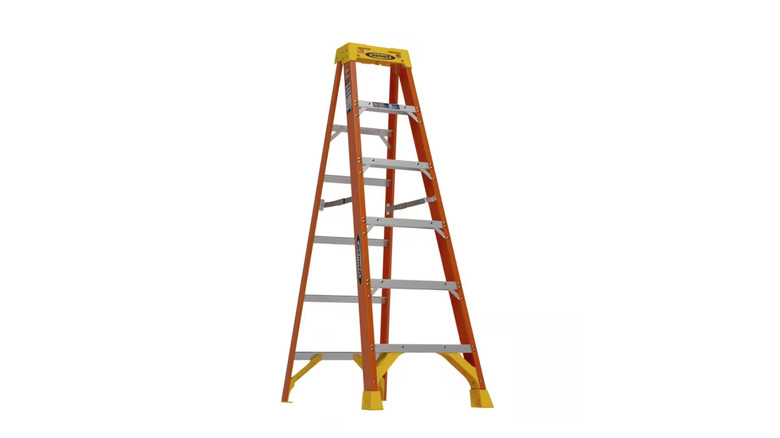 Werner ladder pictured against a white background