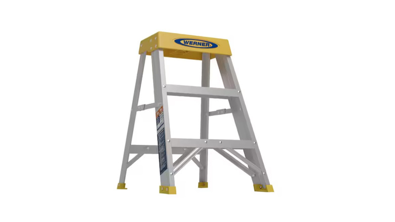 Werner ladder pictured against a white background
