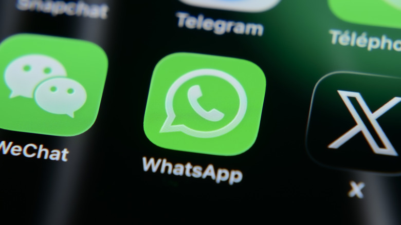 WhatsApp icon placed beside several other app icons