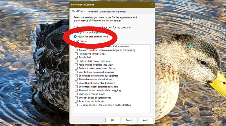 Performance options shown on Windows 11 desktop