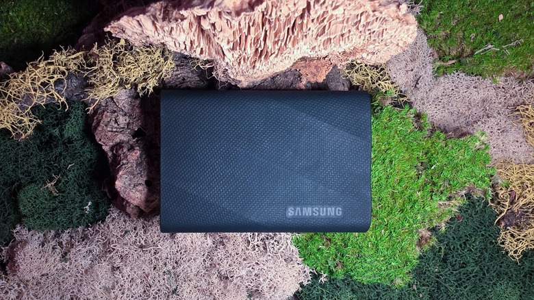 Samsung T9 SSD on moss