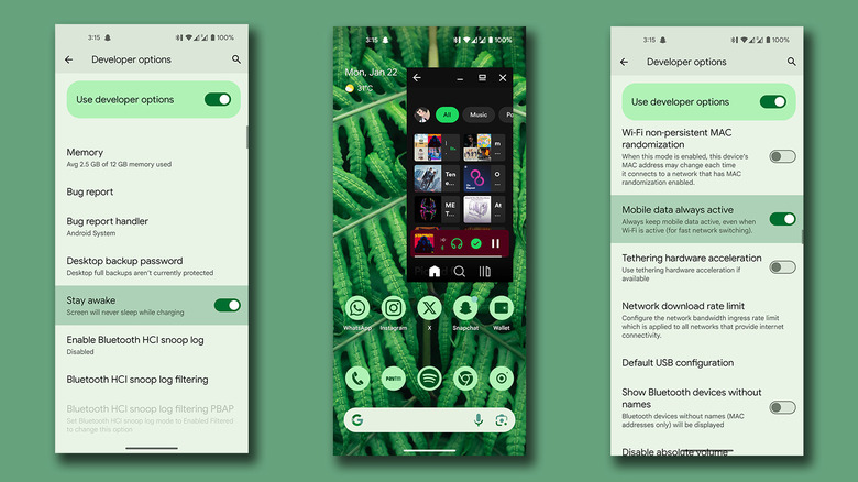 Other Developer Options on Android