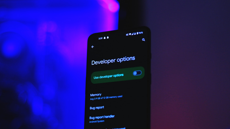 Developer Options menu on Android