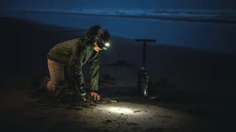 A person digging in sand with the Coast WPH34R headlamp shining down from their head