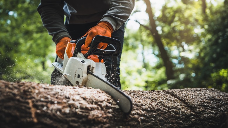 Person using a chainsaw