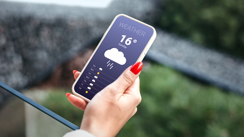 weather app on smartphone