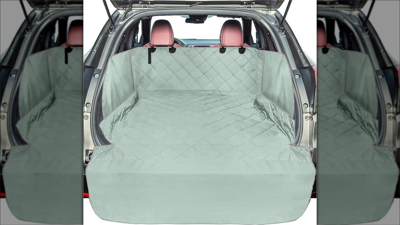 F-color cargo liner