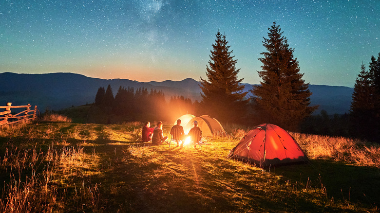 A group of campers relaxing around a campfire at night.