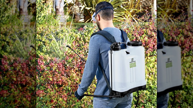 person using backpack sprayer