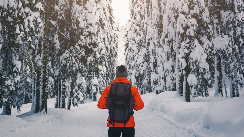 Man in snowy forest