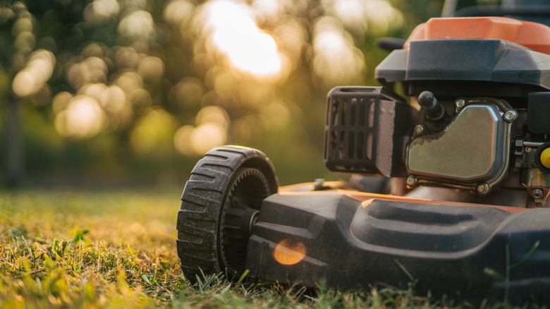 closeup of lawn mower in grass