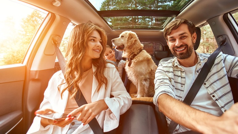 family driving with dog