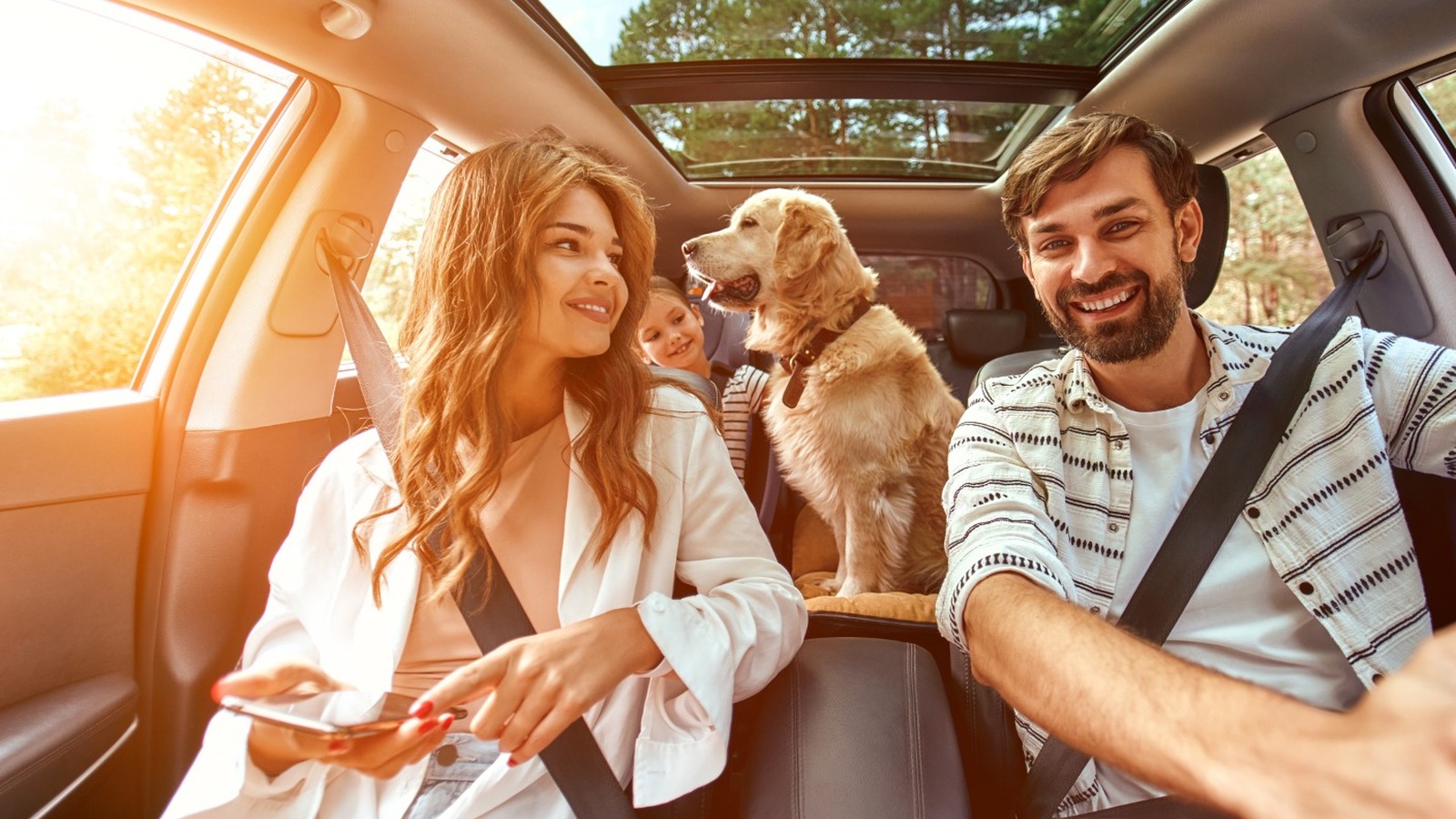 6 Must-Have Car Accessories For Dog Owners