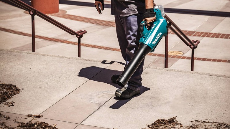 6 Must Have Makita Tools For New Homeowners