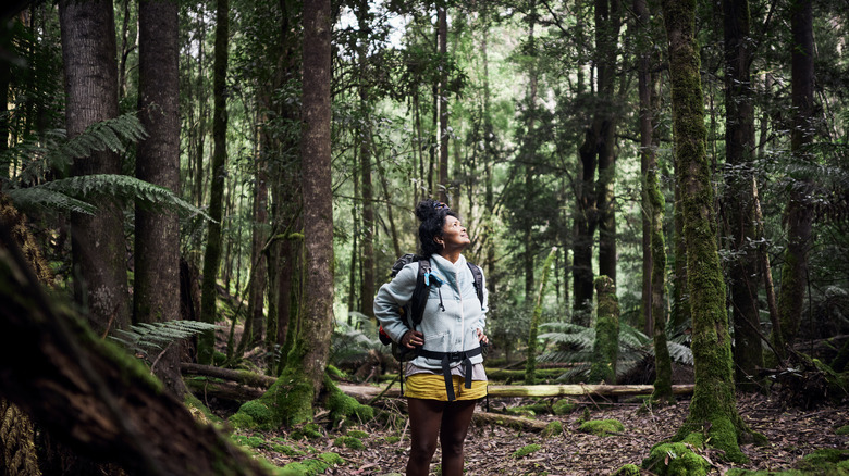 person with backpack in the forest
