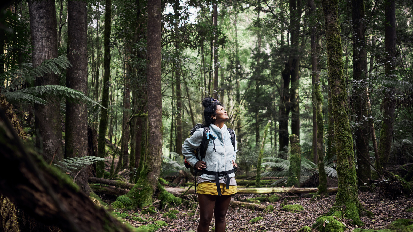 6 Must-Have Safety Gadgets For Your Next Backing Trip - Vimarsana News