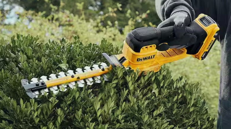 DeWalt 20V Max 8-inch Compact Cordless Hedge Trimmer in use