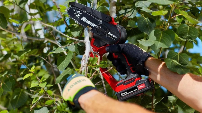 Bauer 20V Pruning Saw in use