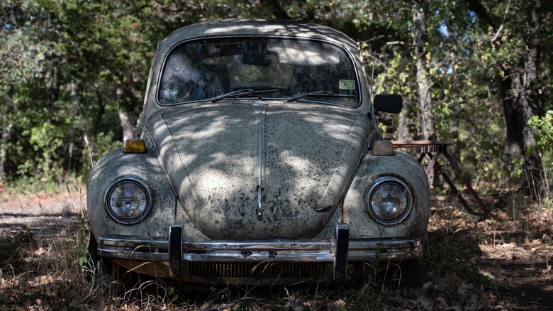 an abandoned Volkswagen Beetle in a backyard