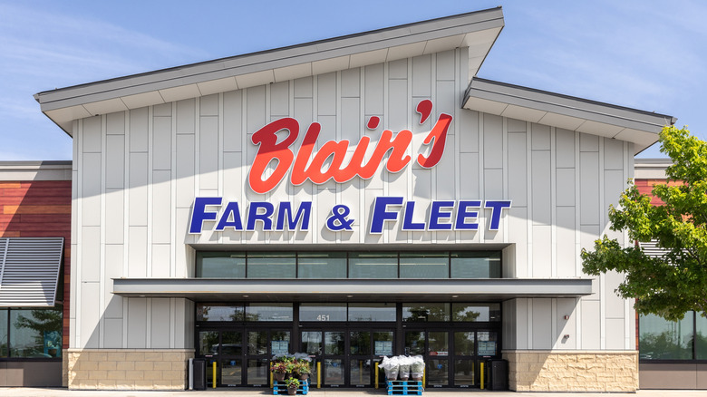 Blain's Farm and Fleet storefront