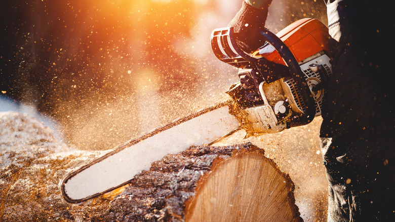 chainsaw cutting a log