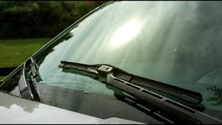 Trico wipers on wet windshield