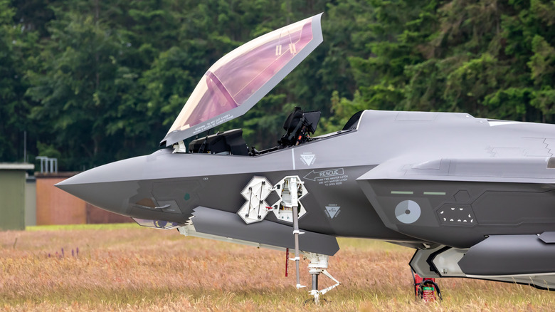 F35 from left side with cockpit open