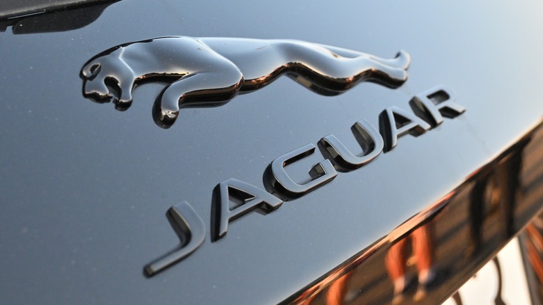 Jaguar logo